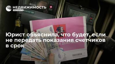 Юрист Иващенко предупредил об опасности непредоставления показаний счетчиков в срок