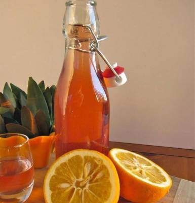 Апельсиновое вино в домашних условиях - skuke.net