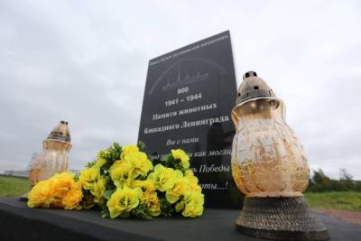 В Петербурге прошла закладка памятника животным блокадного города