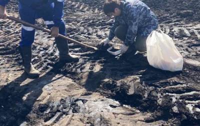 На Сумщине произошел разлив нефти на поле - korrespondent.net - Украина - Сумская обл. - Экология