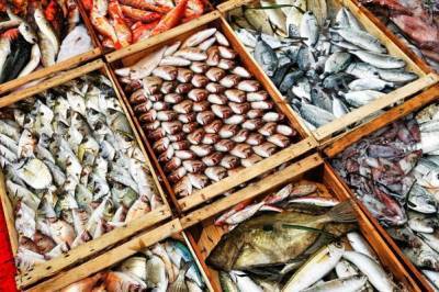 Экспорт российской рыбной продукции в Китай в 2021 году снизился в три раза