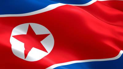 В Пхеньяне прошел парад в честь годовщины основания КНДР