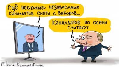 Курьез: в Сети появилась новая карикатура про выборы в России