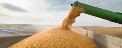 В России собрали более 95 млн тонн зерна