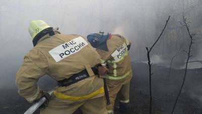 В Башкирии ликвидирован последний очаг природных пожаров