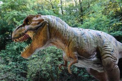 В узбекских Кызылкумах нашли «царя динозавров»