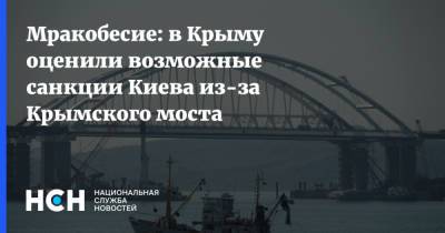 Мракобесие: в Крыму оценили возможные санкции Киева из-за Крымского моста