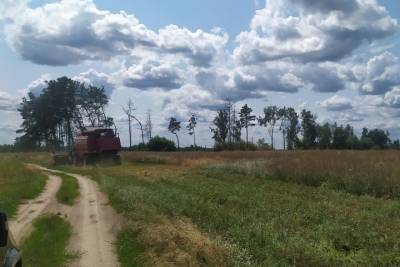 В Климовском районе Брянщины собрали с полей рапс