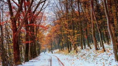 В городах РФ объявили оранжевый уровень погодной опасности из-за холода
