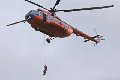 После лесных пожаров в Тюменской области власти выделяют миллионы на пожарные вертолеты