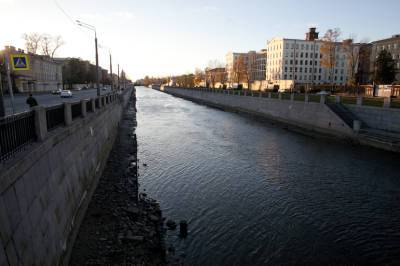 Петербурженка упала в Обводный канал