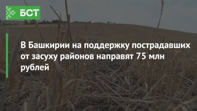 В Башкирии на поддержку пострадавших от засуху районов направят 75 млн рублей
