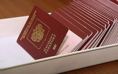 В МинВОТ прокомментировали паспортизацию Донбасса