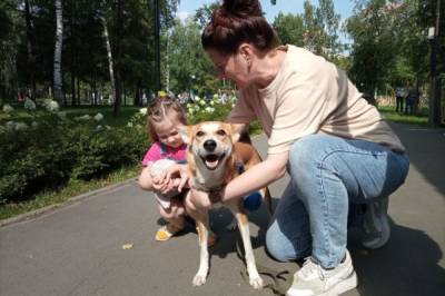 Сергунина: в Москве пройдет акция в помощь животным из приютов