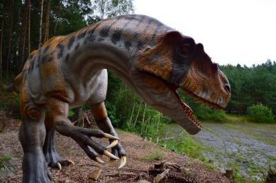 Японские палеонтологи нашли останки «царя динозавров» в пустыне Кызылкум