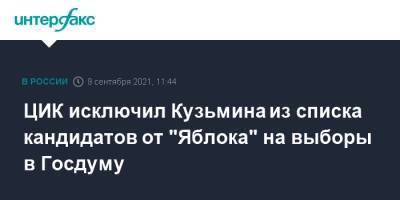ЦИК исключил Кузьмина из списка кандидатов от "Яблока" на выборы в Госдуму