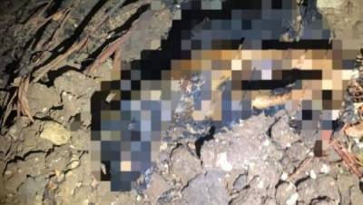 Житель Бат-Яма заживо сжег свою собаку у всех на виду - и пошел под суд