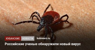 Российские ученые обнаружили новый вирус
