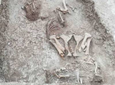 Археологи раскопали 40 скелетов людей, стоящих за «происхождением Англии»