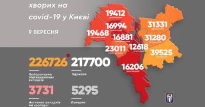 COVID-19 в Киеве: за сутки выявлено 379 больных
