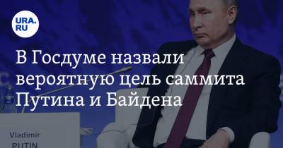 В Госдуме назвали вероятную цель саммита Путина и Байдена