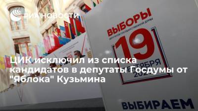ЦИК исключил из списка кандидатов в депутаты Госдумы от "Яблока" Николая Кузьмина