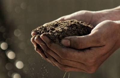 ФАО поможет бороться с деградацией почв на Луганщине