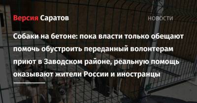 Собаки на бетоне: пока власти только обещают помочь обустроить переданный волонтерам приют в Заводском районе, реальную помощь оказывают жители России и иностранцы