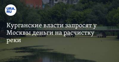 Курганские власти запросят у Москвы деньги на расчистку реки