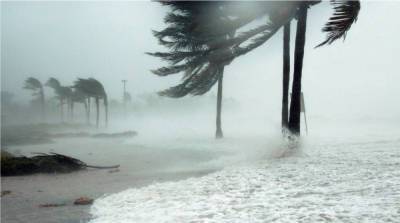Берегов Флориды достиг новый тропический шторм