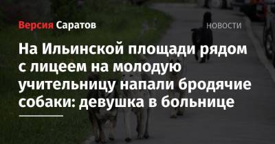 На Ильинской площади рядом с лицеем на молодую учительницу напали бродячие собаки: девушка в больнице