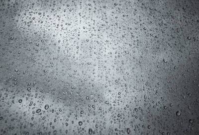 Сильные дожди ожидают жителей Ленобласти 10 сентября