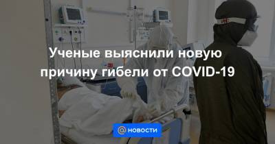 Ученые выяснили новую причину гибели от COVID-19