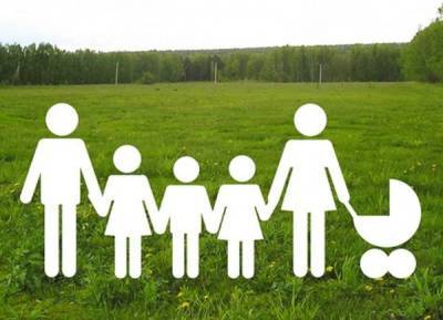 Многодетные семьи в Новосибирской области получат дополнительные меры социальной поддержки