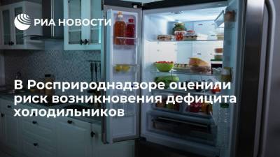 В Росприроднадзоре исключили вероятность возникновения дефицита холодильников в России