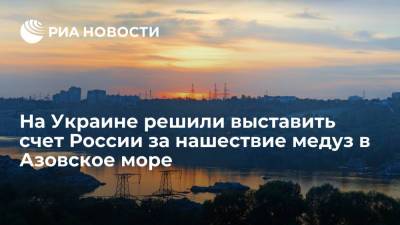 Глава Запорожской ОГА предложил судиться с Россией из-за нашествия медуз в Азовское море