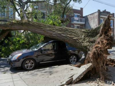 Число жертв урагана "Ида" в США выросло до 82 человек