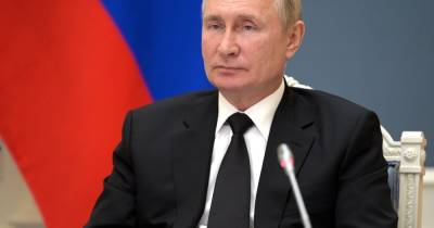 Встретятся ли Путин и Зеленский на Генассамблее ООН: в Кремле дали ответ