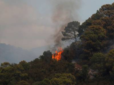 На юге Испании горят леса: эвакуировали более 400 человек