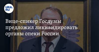 Вице-спикер Госдумы предложил ликвидировать органы опеки России