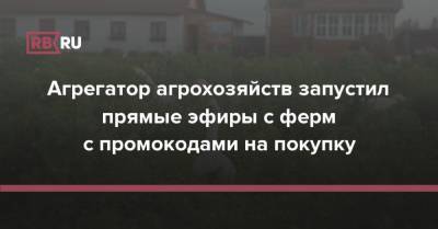 Агрегатор агрохозяйств запустил прямые эфиры с ферм с промокодами на покупку - rb.ru - Москва - Россия - Санкт-Петербург - Тверь