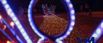 В Преображенском парке «поселились» светящиеся бабочки