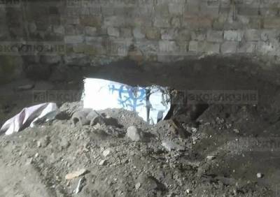 В подвале в центре Петербурга нашли скетелетированные останки девушки