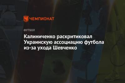 Калиниченко раскритиковал Украинскую ассоциацию футбола из-за ухода Шевченко