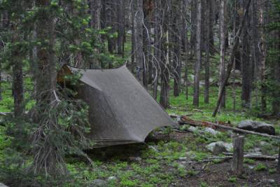 В Ярославской области нашли палатку с обезглавленным трупом