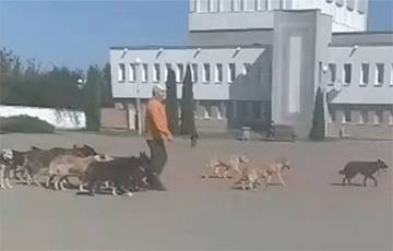 Житель Марьиной Горки вывел 50 собак к райисполкому для переговоров