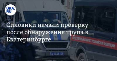 Силовики начали проверку после обнаружения трупа в Екатеринбурге