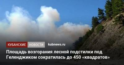 Площадь возгорания лесной подстилки под Геленджиком сократилась до 450 «квадратов»