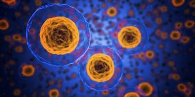 Американские ученые создали синтетическую капсулу, которая выполняет функции живой клетки и мира