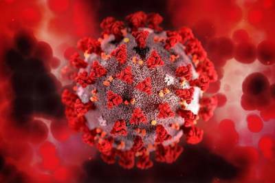 Иммунолог Крючков заявил, что «дельта»-штамм коронавируса будет мутировать и получать новые свойства